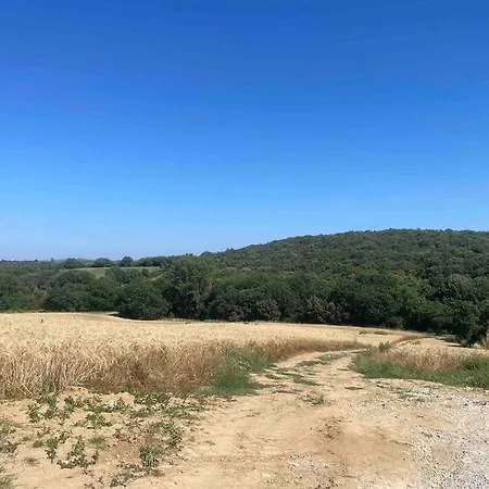 Maison A La Campagne, Proche De Carcassonne 펜션 Alairac